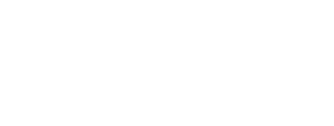 Plumis Logo Plumis