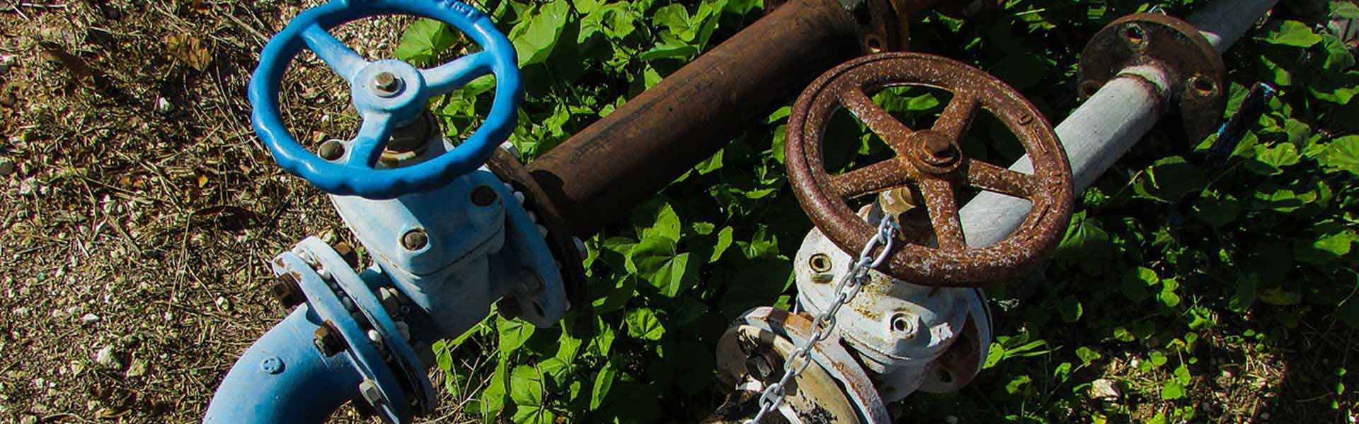 CFD fire sprinkler cost water