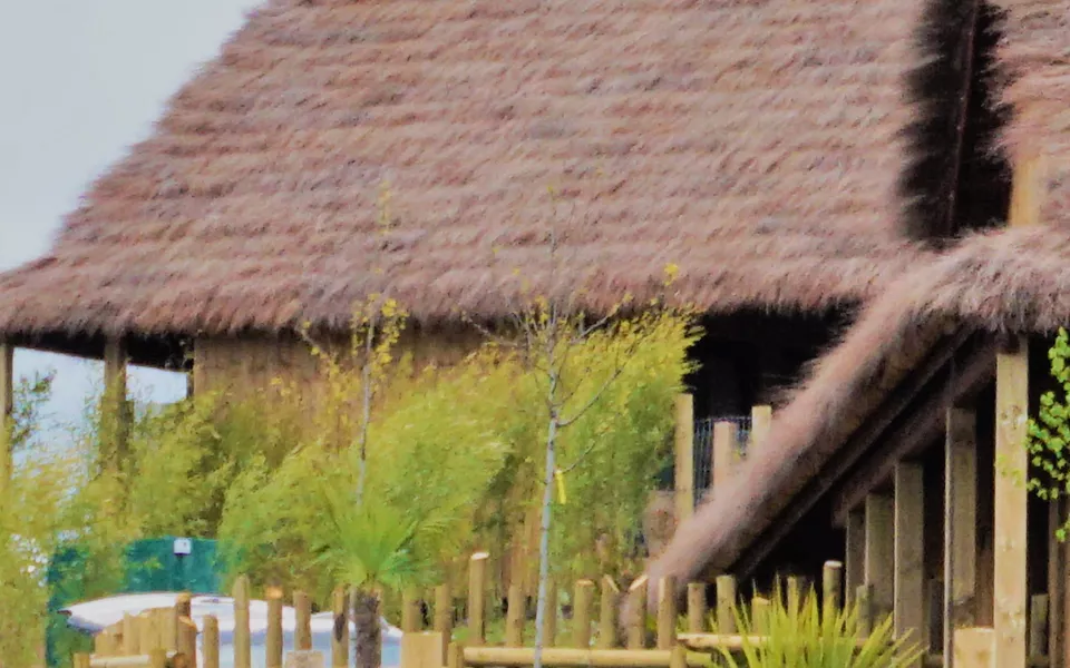Thatched Roofed Luxury Safari Lodge at WMSP
